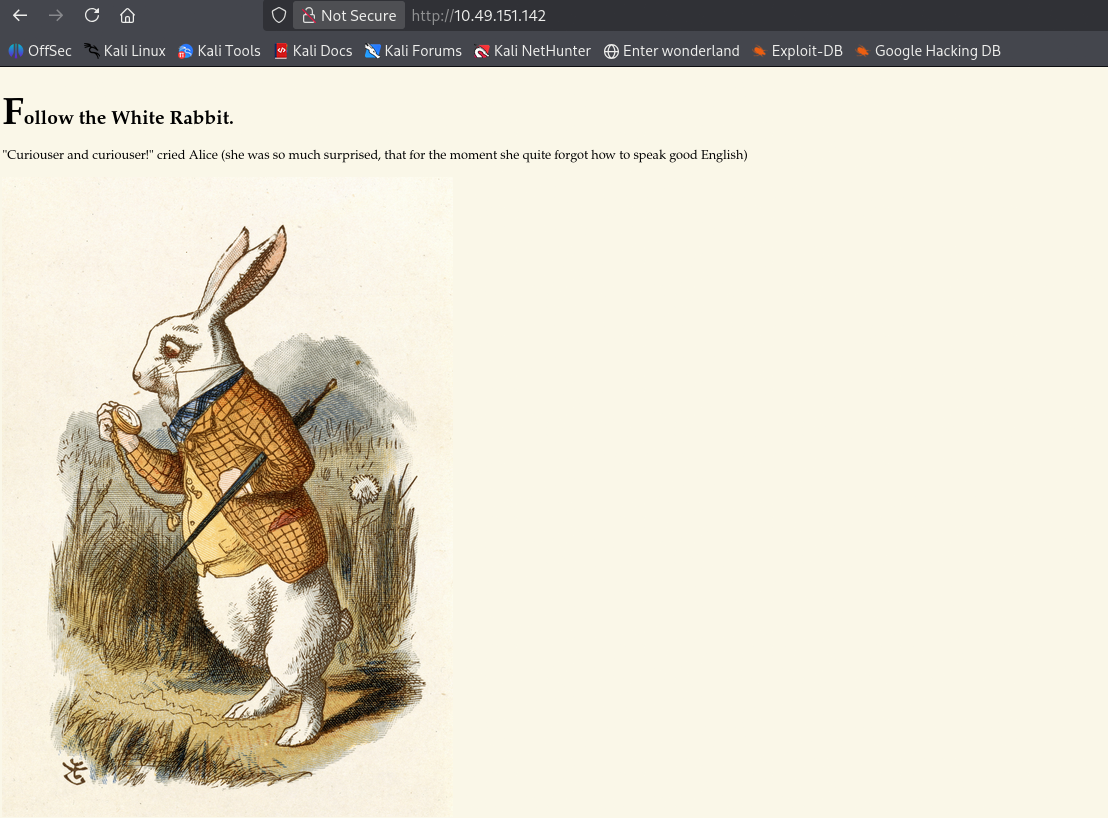 "Follow the white rabbit" web-page